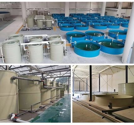 Protein Skimmer for RAS Fish Farming 600mm Barrel Diameter Micro Nano Foam Fractionato