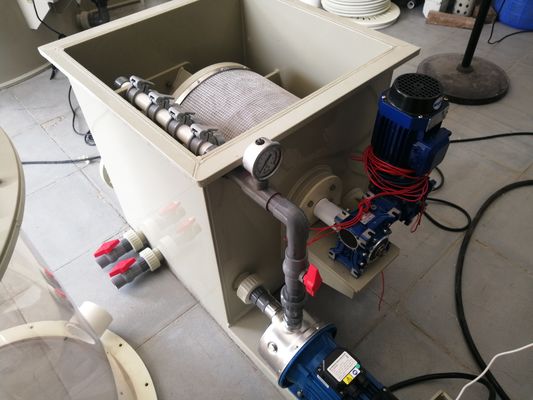 Solid Liquid Separation Automatic Backwash Aquaculture Rotary Drum Filter for Koi Pond 100*100*100cm